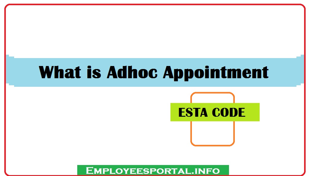 What is Adhoc Appointment