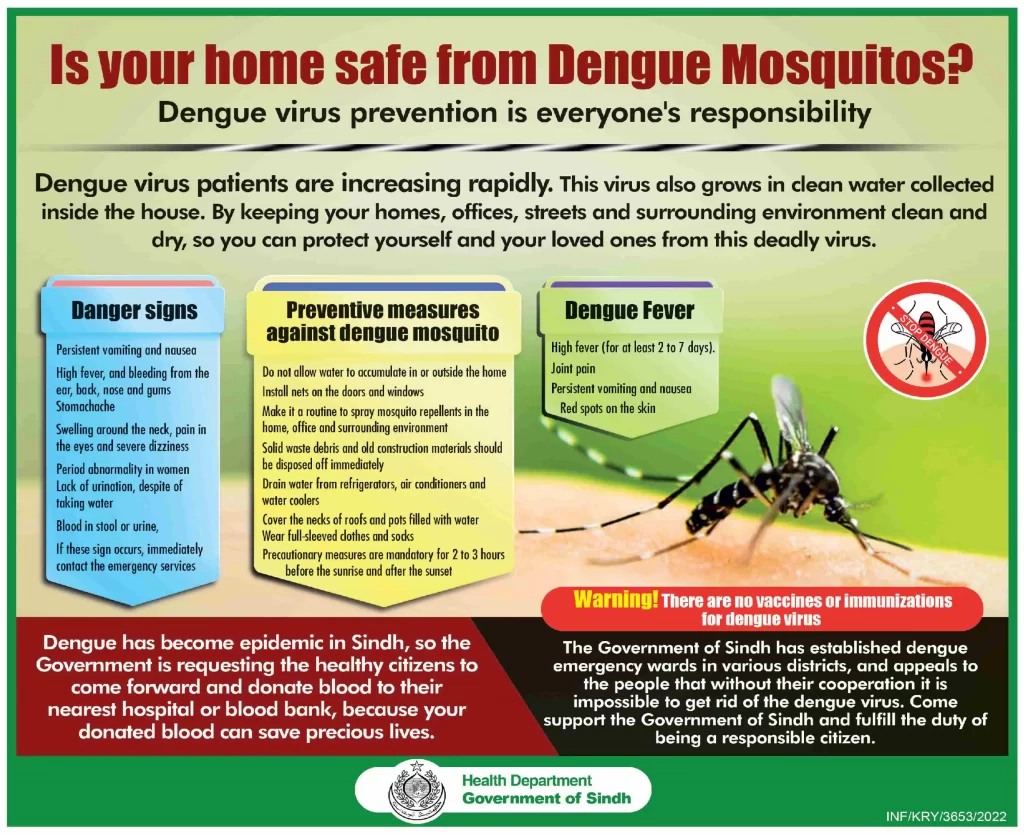 Is Your Home Safe From Dengue Mosquito