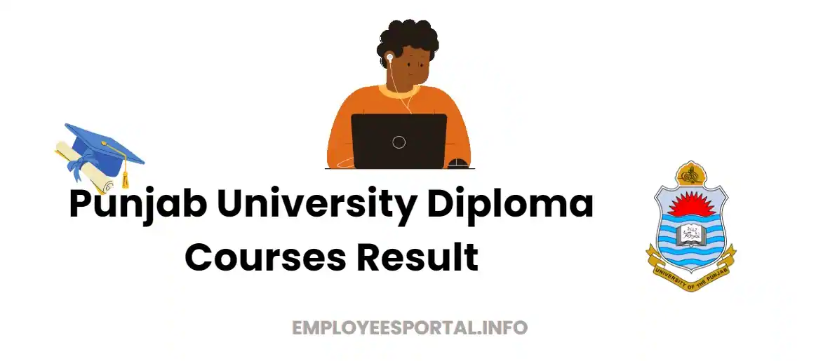 Punjab University Diploma Courses Result