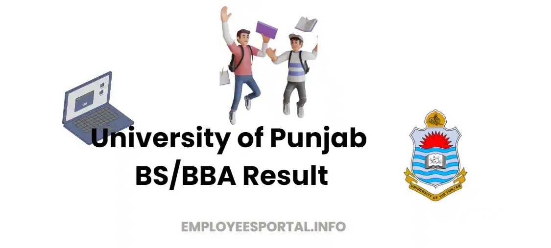 University of Punjab BS/BBA Result