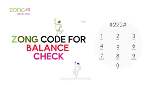 Zong Code For Balance Check 2024
