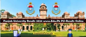 Punjab University Results 2024 www.Edu.Pk PU-Results Online