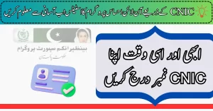How To Check Online 8171 Ehsaas Program Status By CNIC